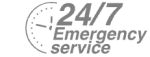 24/7 Emergency Service Pest Control in Romford, Rise Park, RM1. Call Now! 020 8166 9746