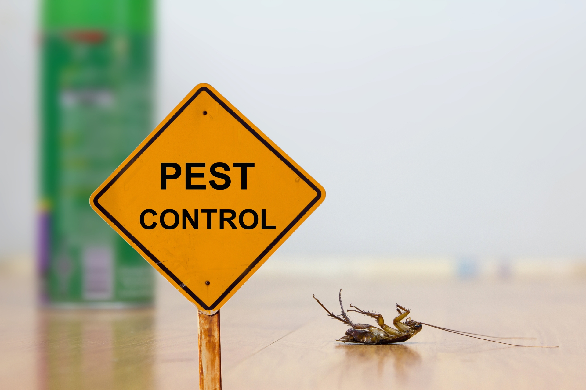 24 Hour Pest Control, Pest Control in Romford, Rise Park, RM1. Call Now 020 8166 9746